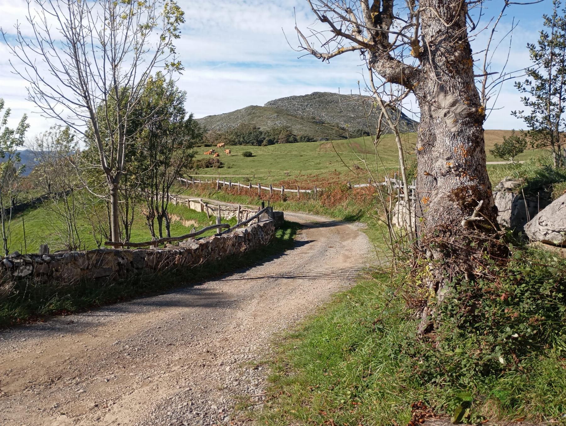 Venta de casa en Quirós