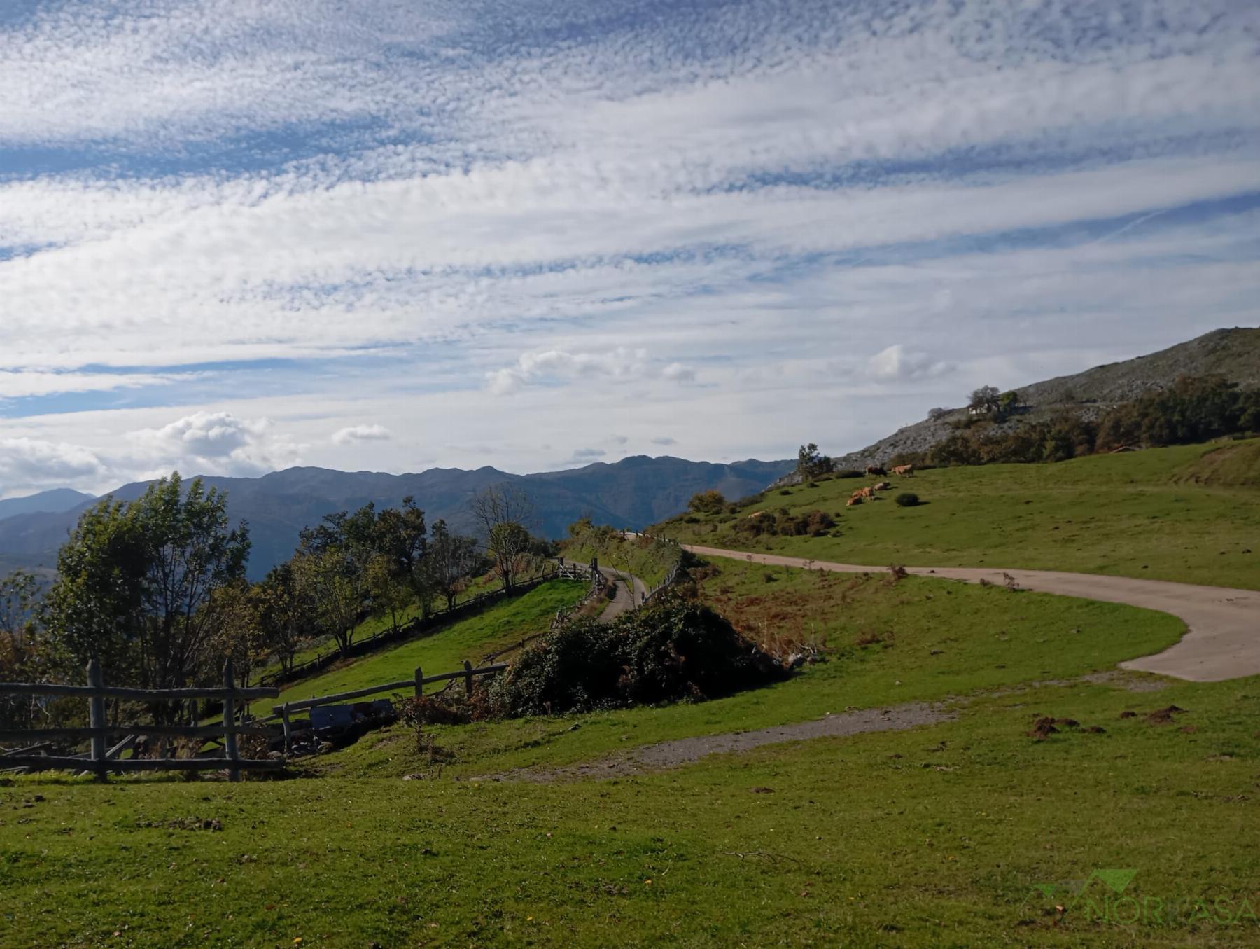 Venta de casa en Quirós