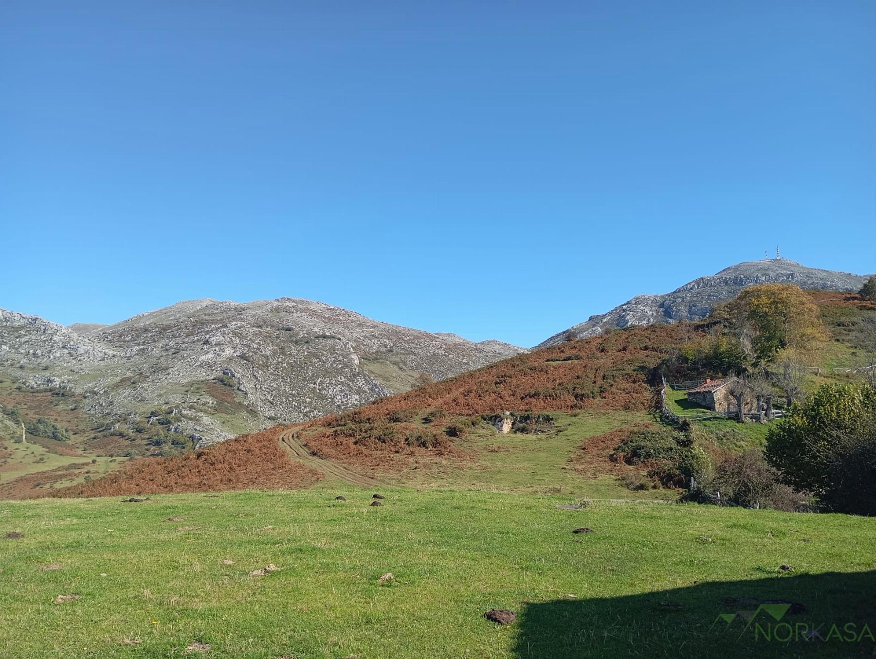 Venta de casa en Quirós