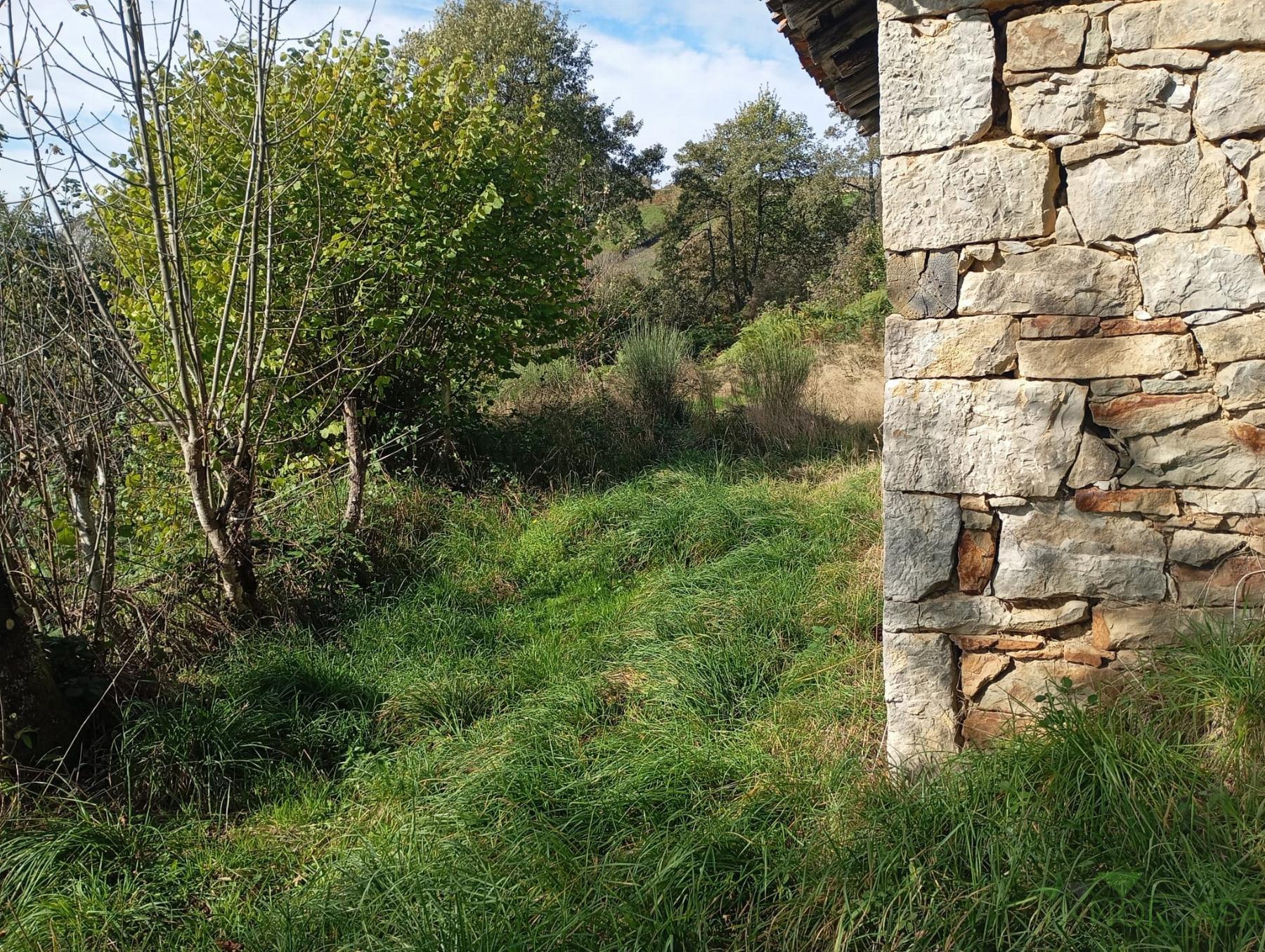 Venta de casa en Quirós