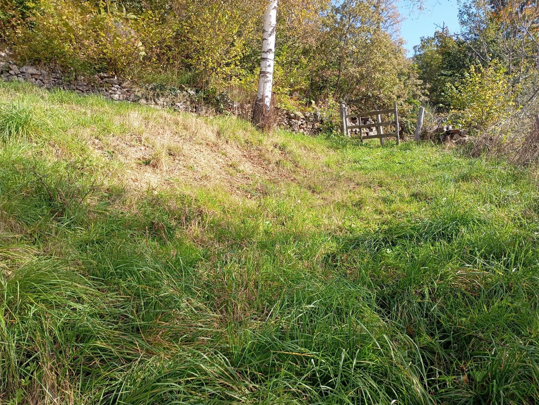 Venta de casa en Quirós