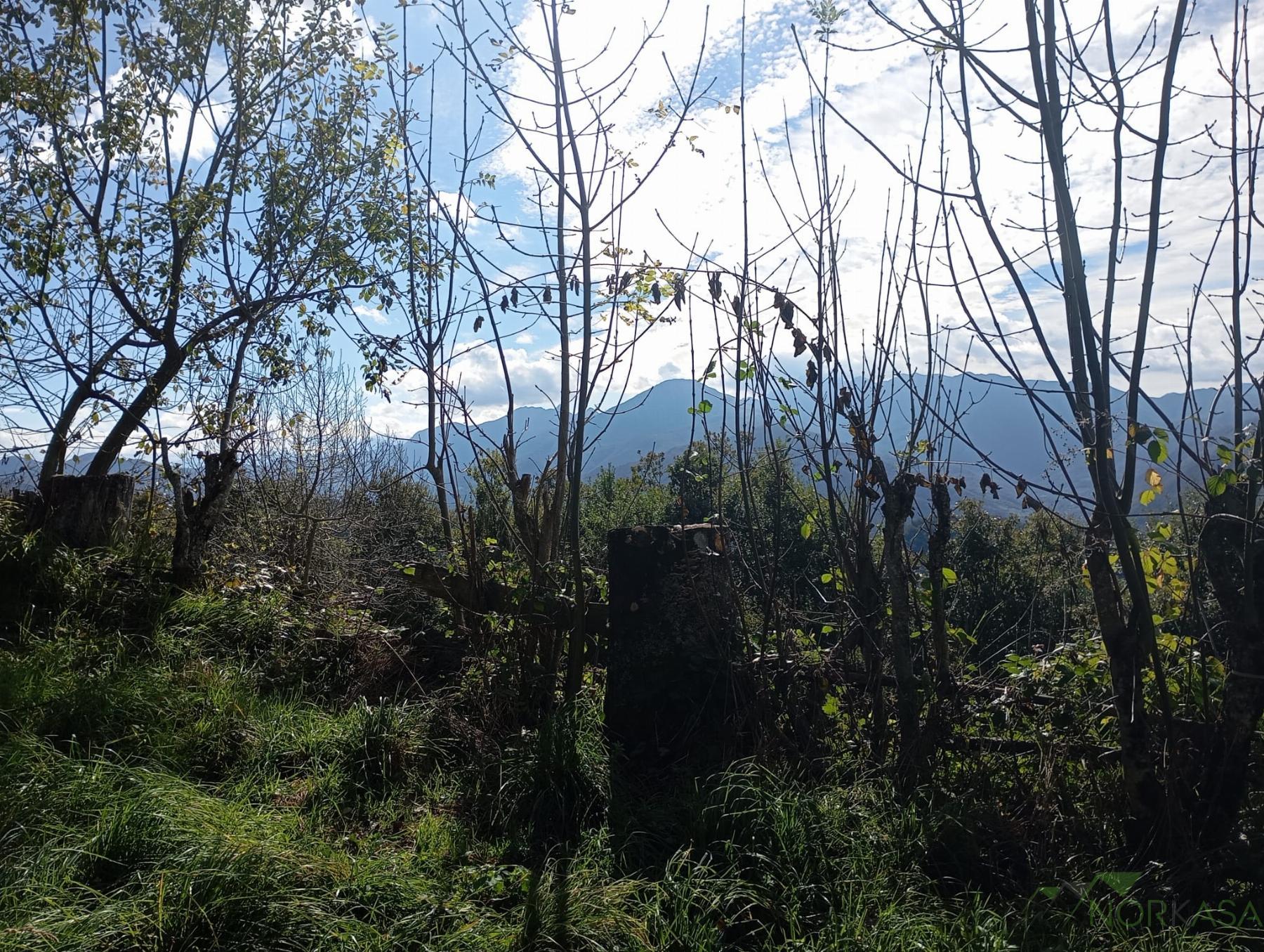 Venta de casa en Quirós