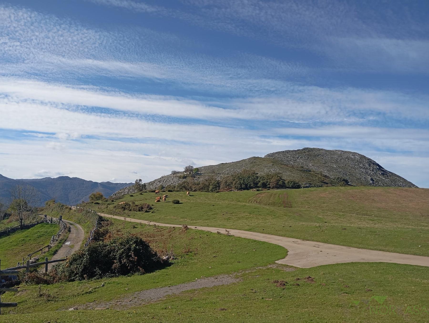 Venta de casa en Quirós