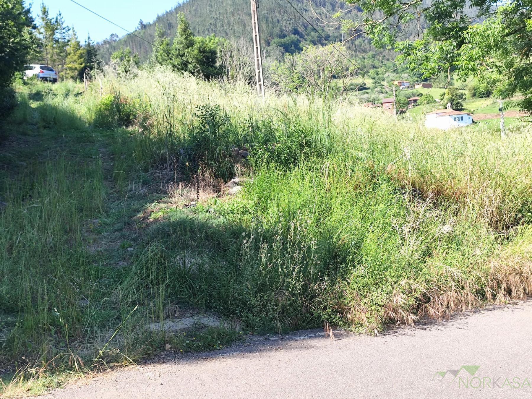 Venta de casa en Salas Concejo