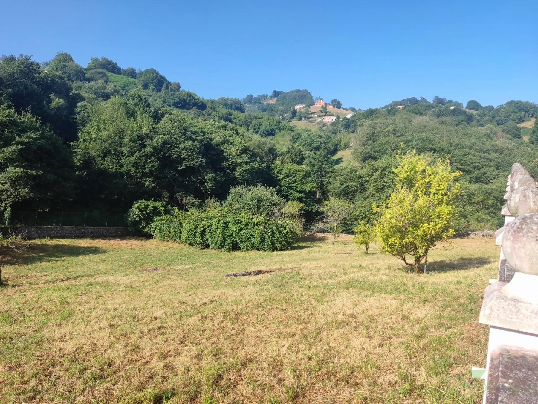 For sale of house in Oviedo