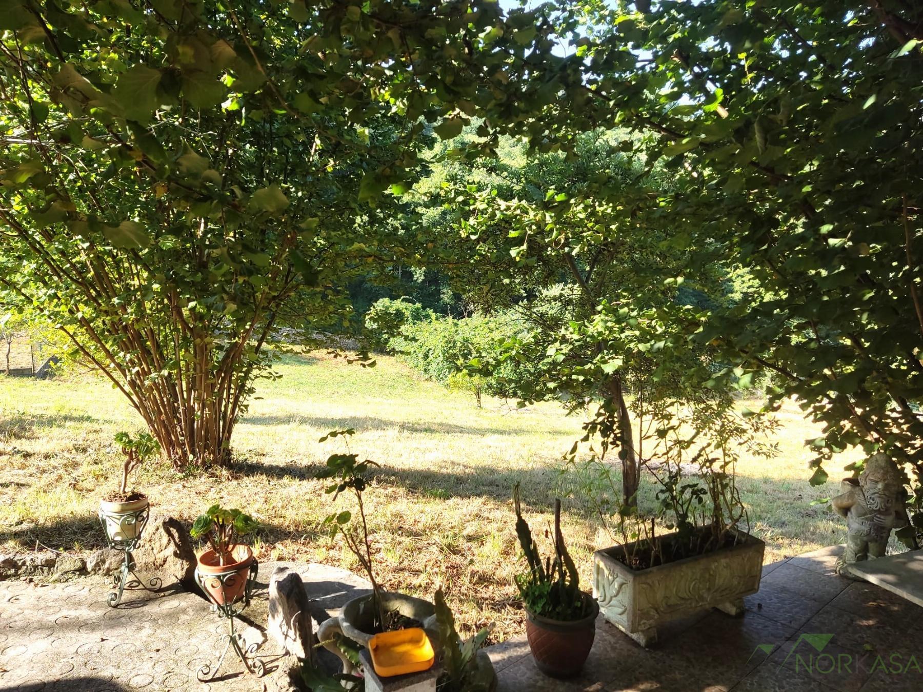 For sale of house in Oviedo