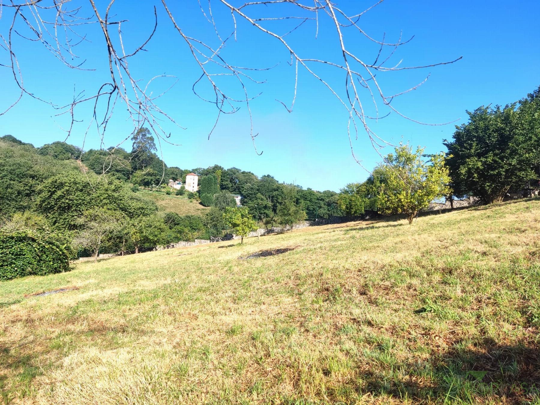 For sale of house in Oviedo