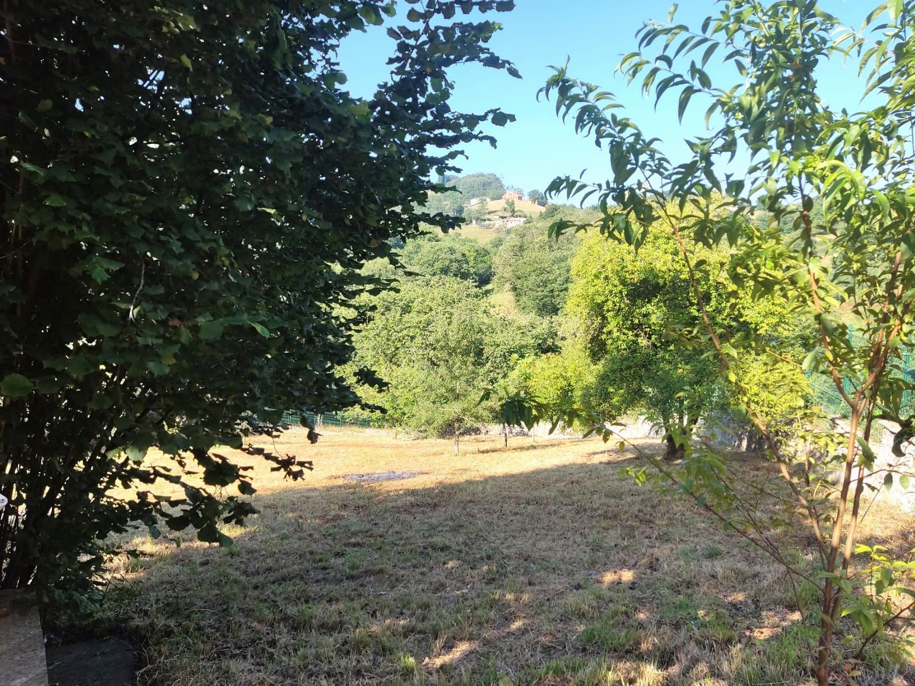 For sale of house in Oviedo