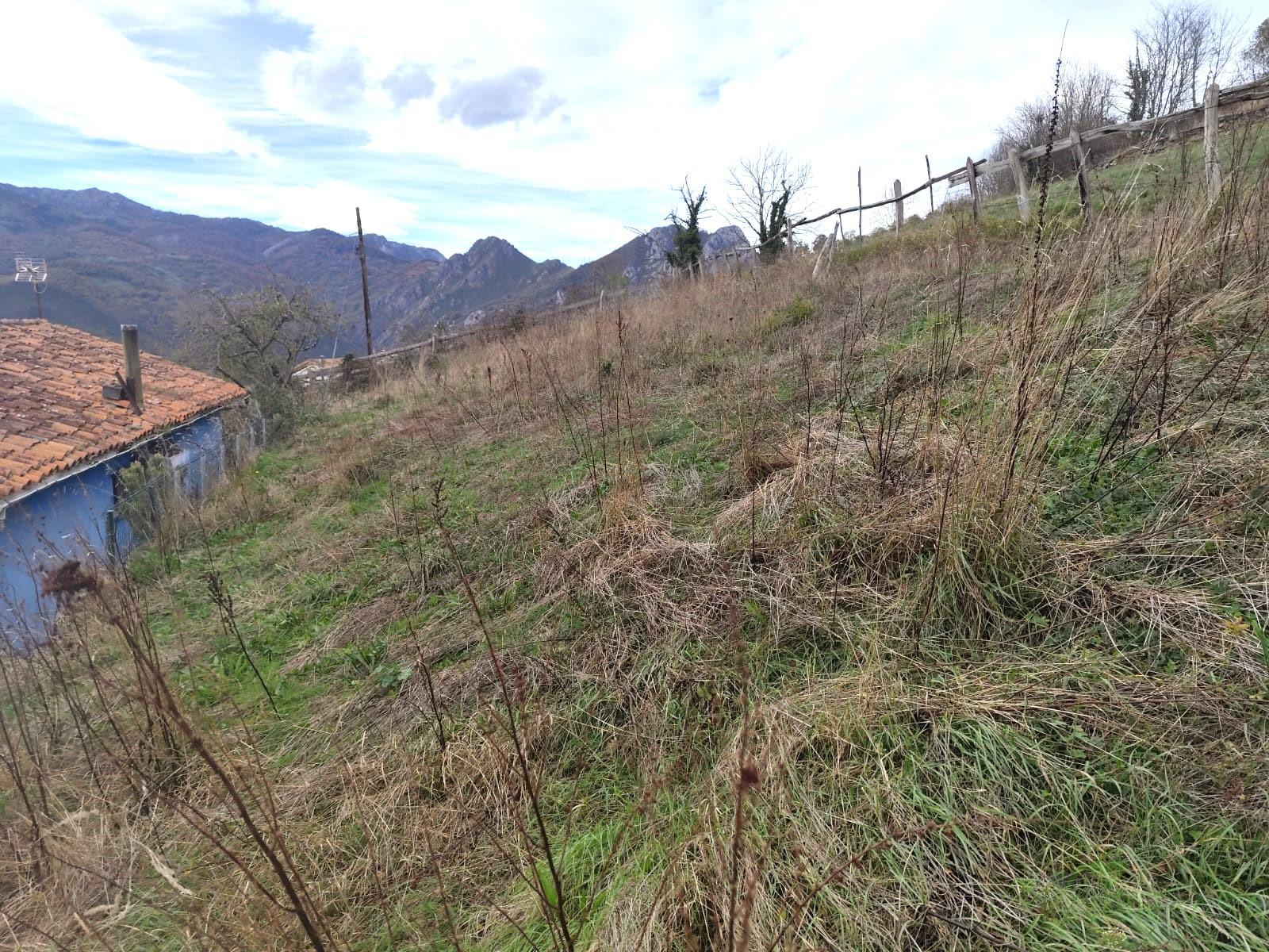 Venta de casa en Quirós