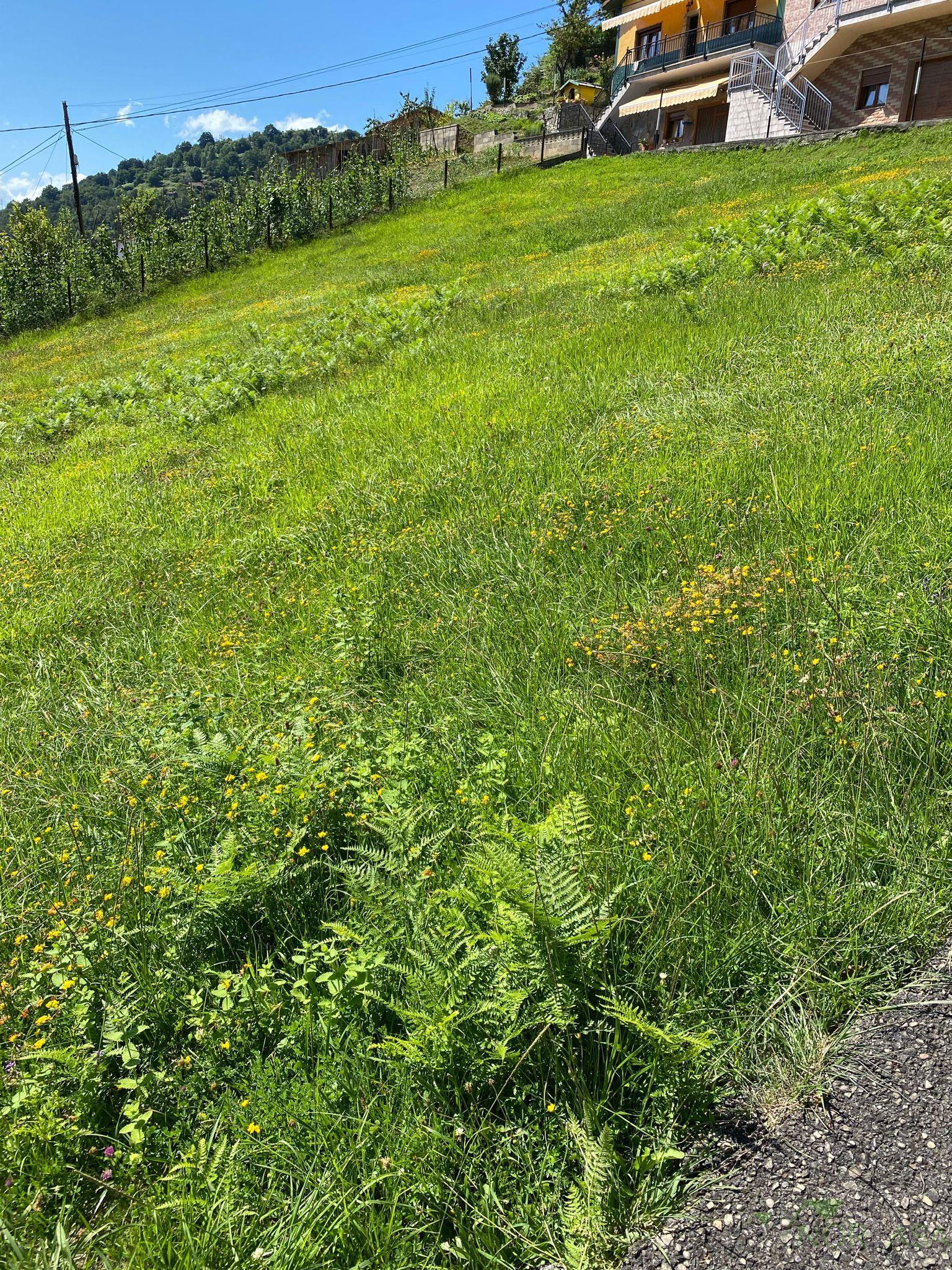 Venta de terreno en San Martín del Rey Aurelio