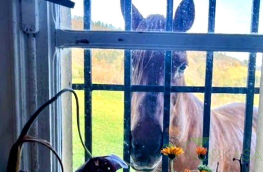 Venta de casa en Salas Concejo