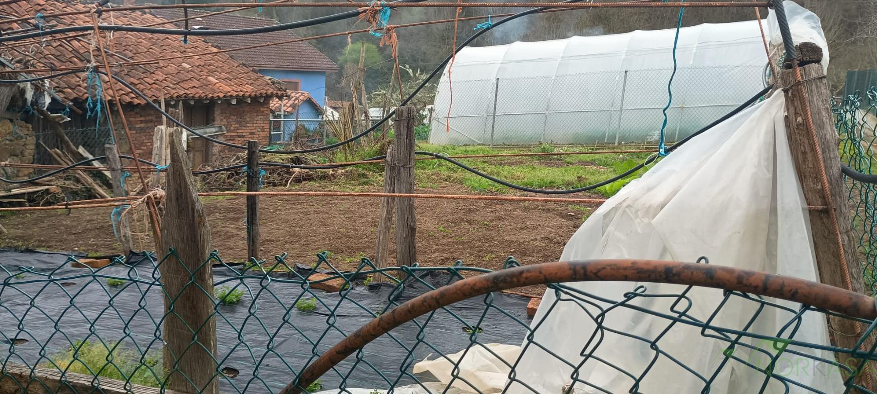 Venta de terreno en Mieres Concejo