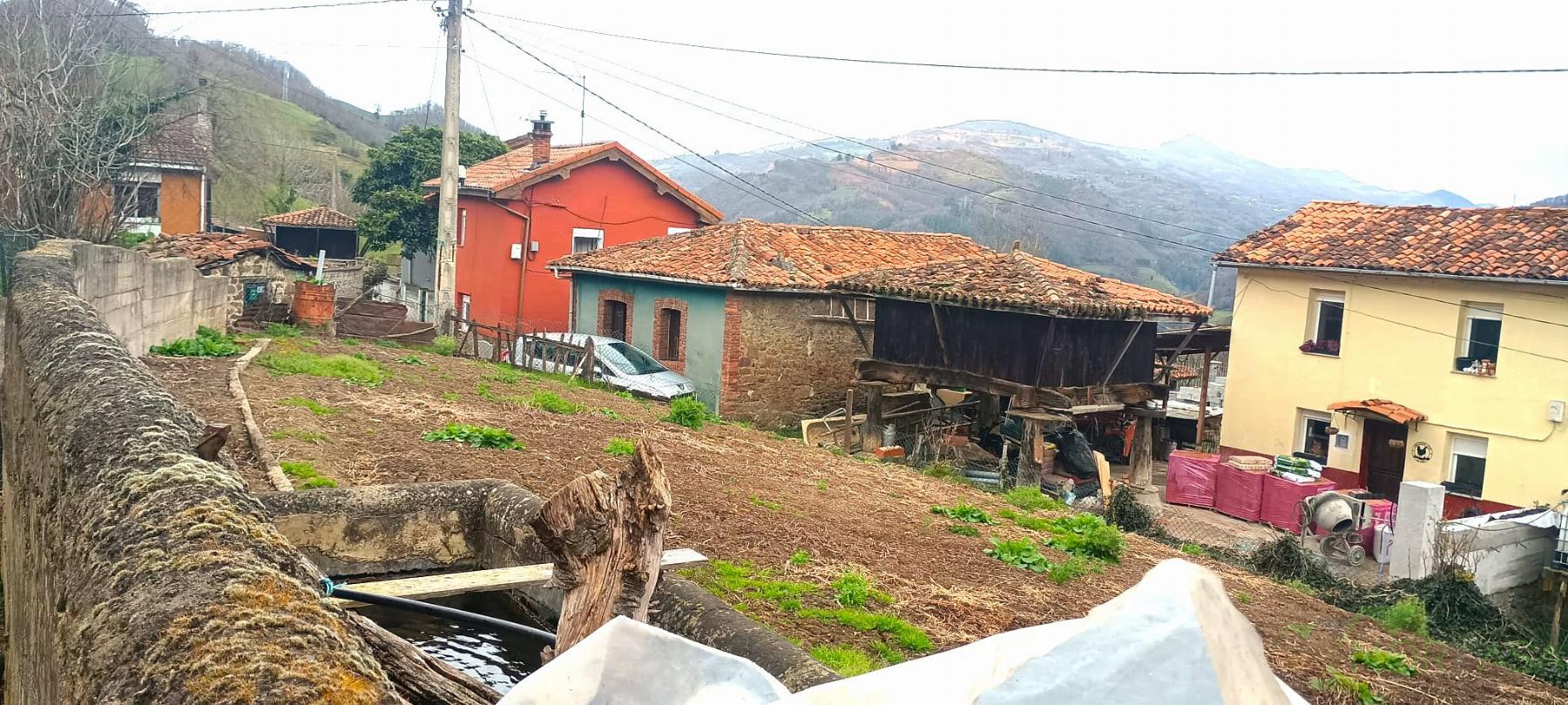 For sale of land in Mieres Concejo