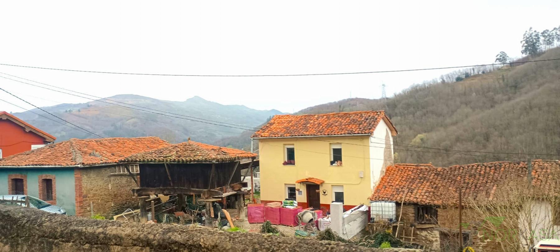 For sale of land in Mieres Concejo