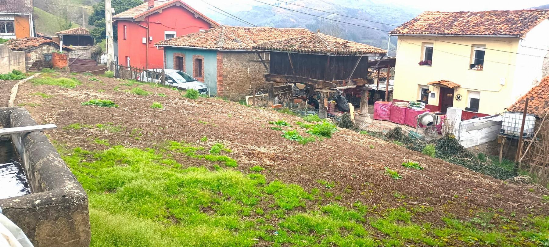 For sale of land in Mieres Concejo