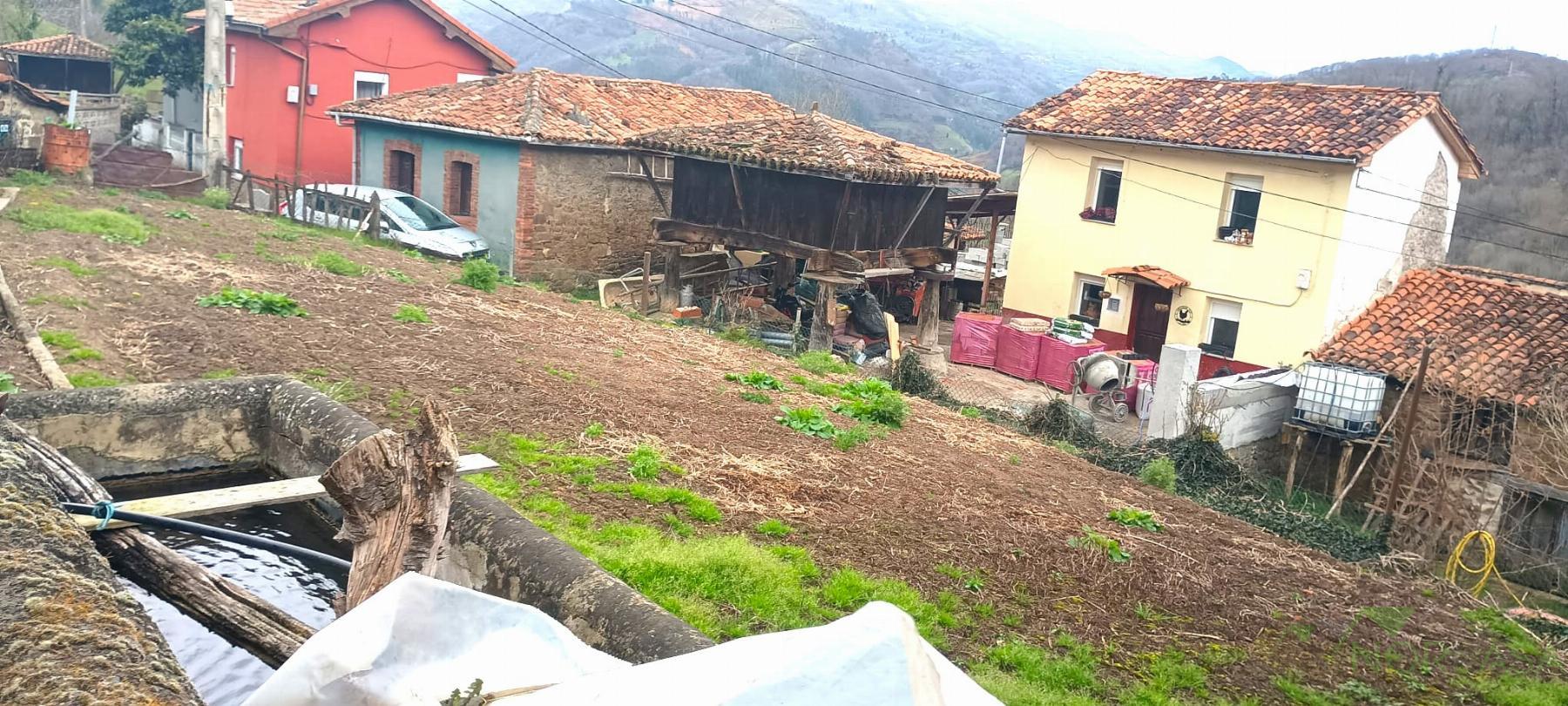 For sale of land in Mieres Concejo