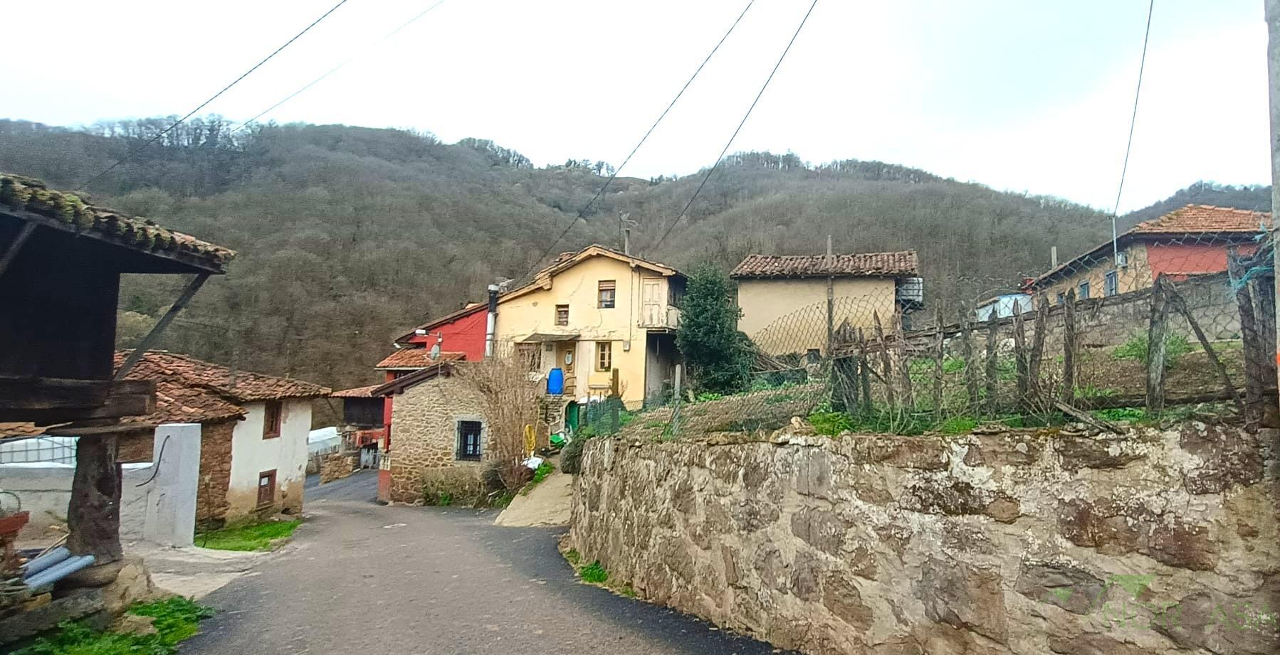 For sale of land in Mieres Concejo