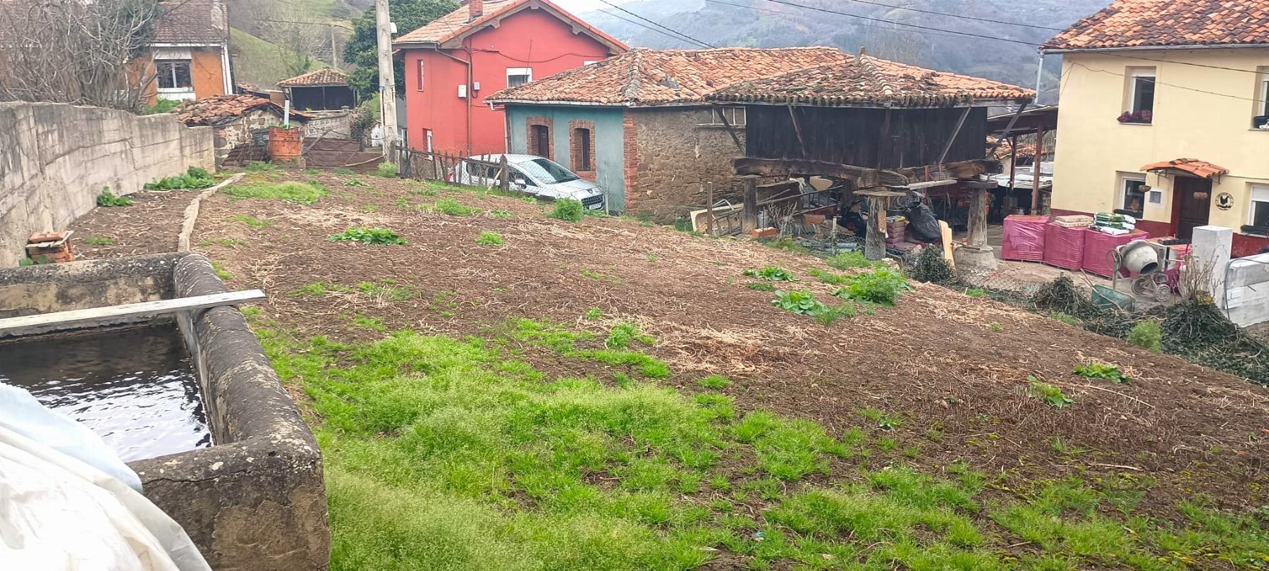 For sale of land in Mieres Concejo