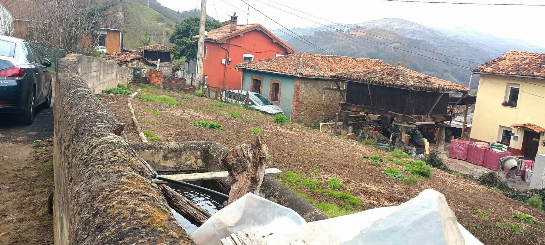 For sale of land in Mieres Concejo
