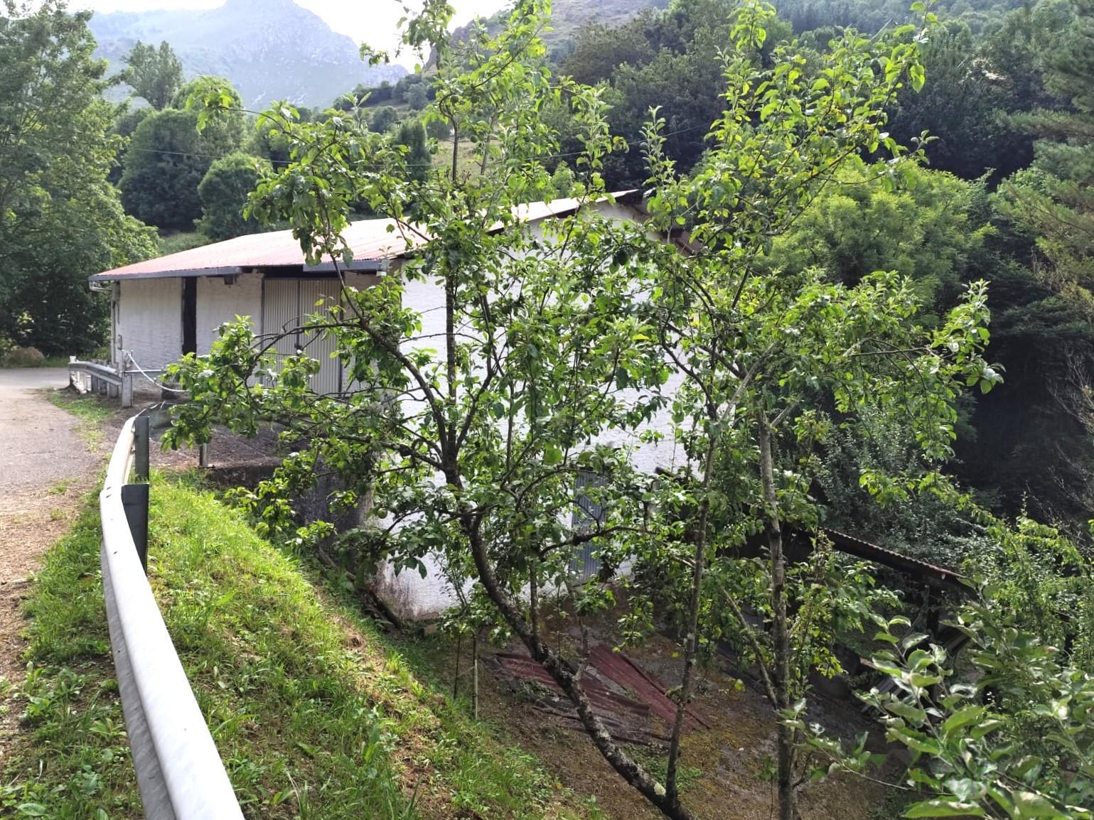 Venta de nave en Quirós