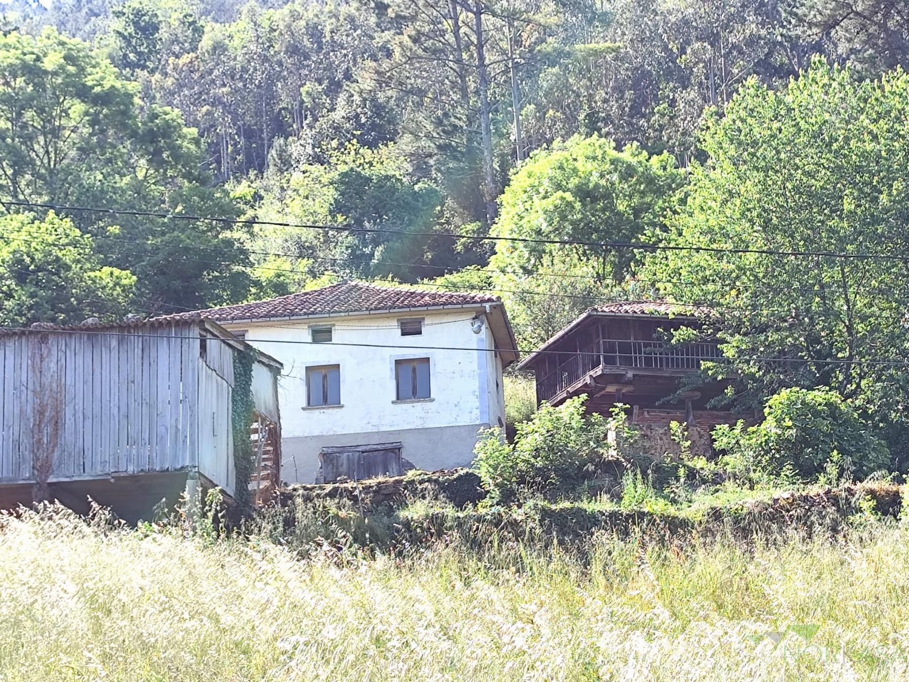 Venta de casa en Salas Concejo