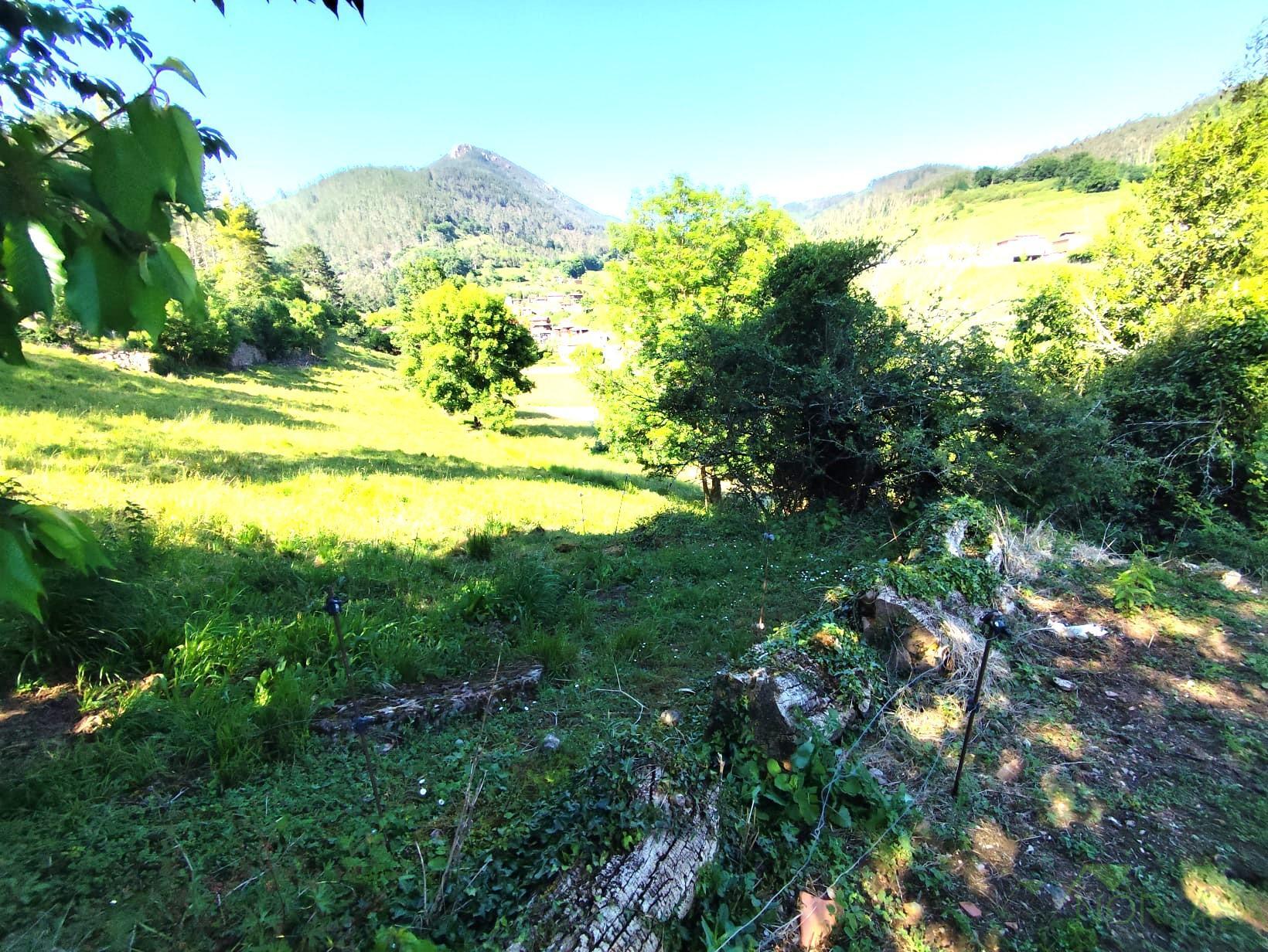 Venta de casa en Salas Concejo