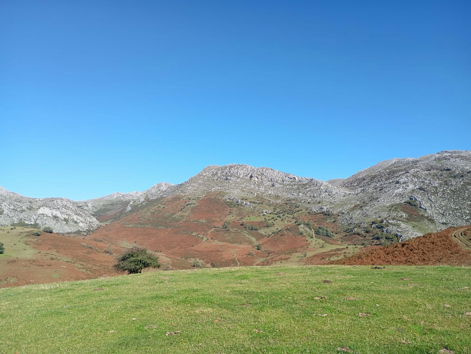 Venta de casa en Quirós