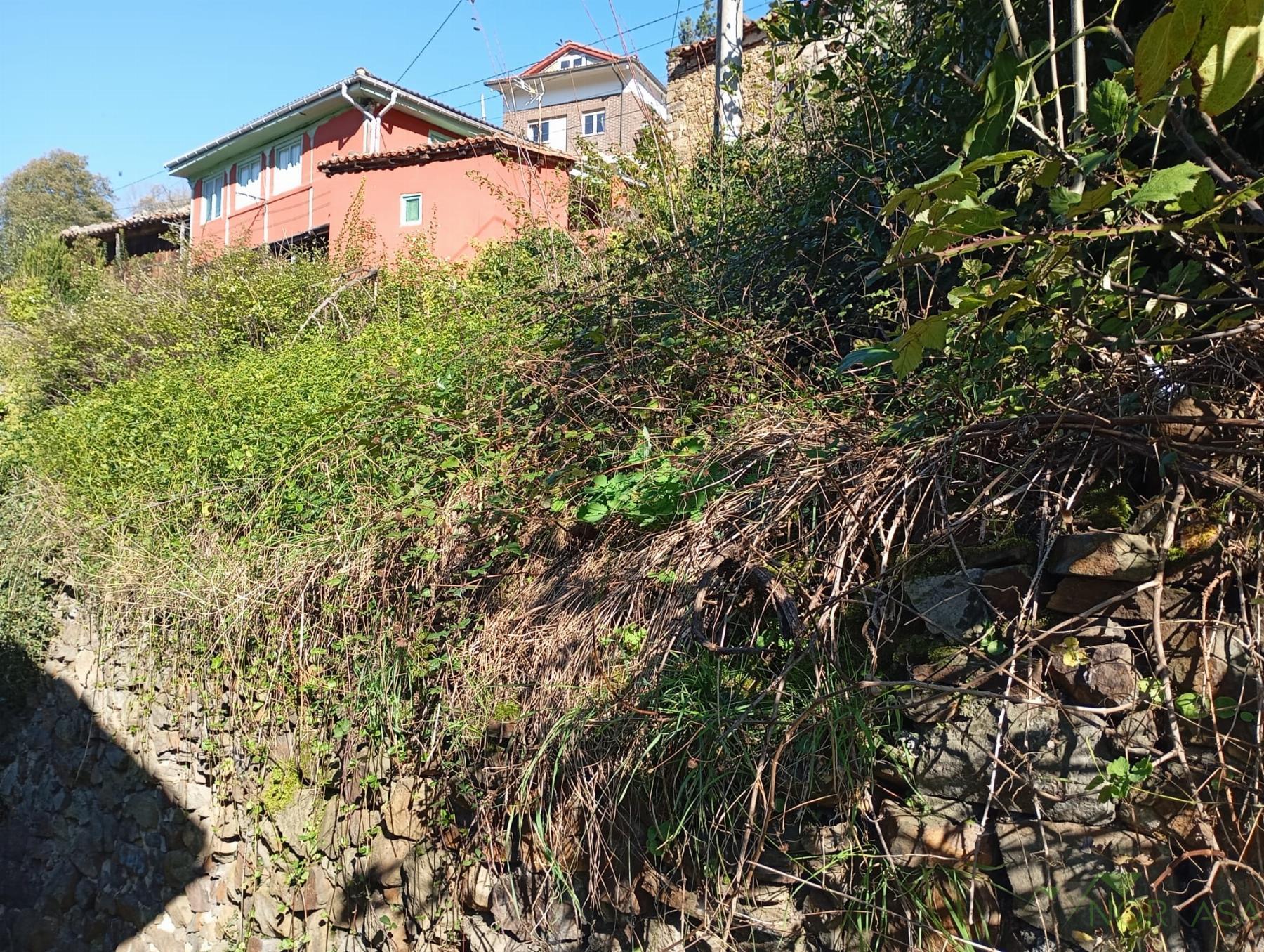 Venta de casa en Quirós