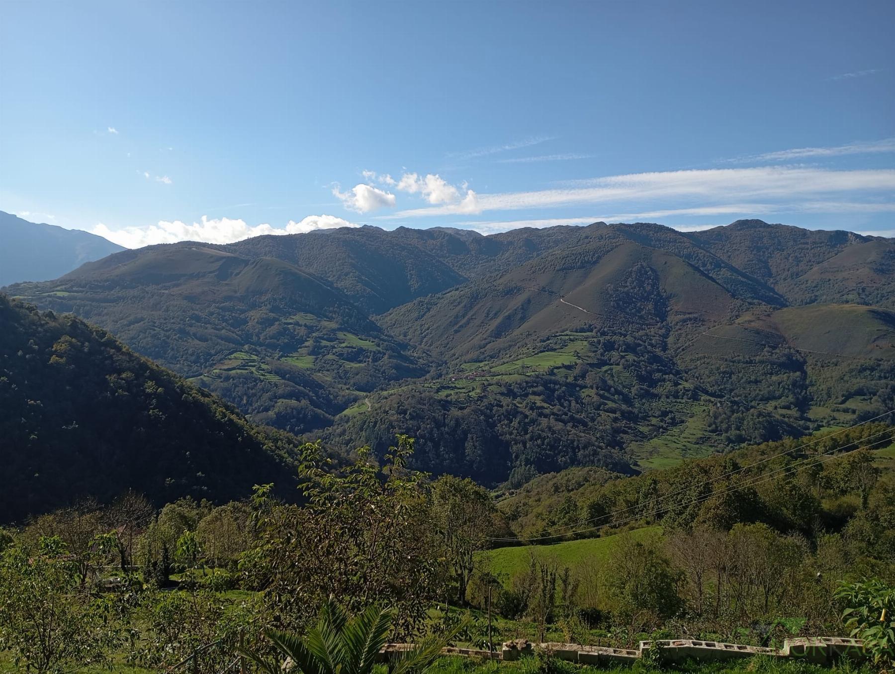 Venta de casa en Quirós