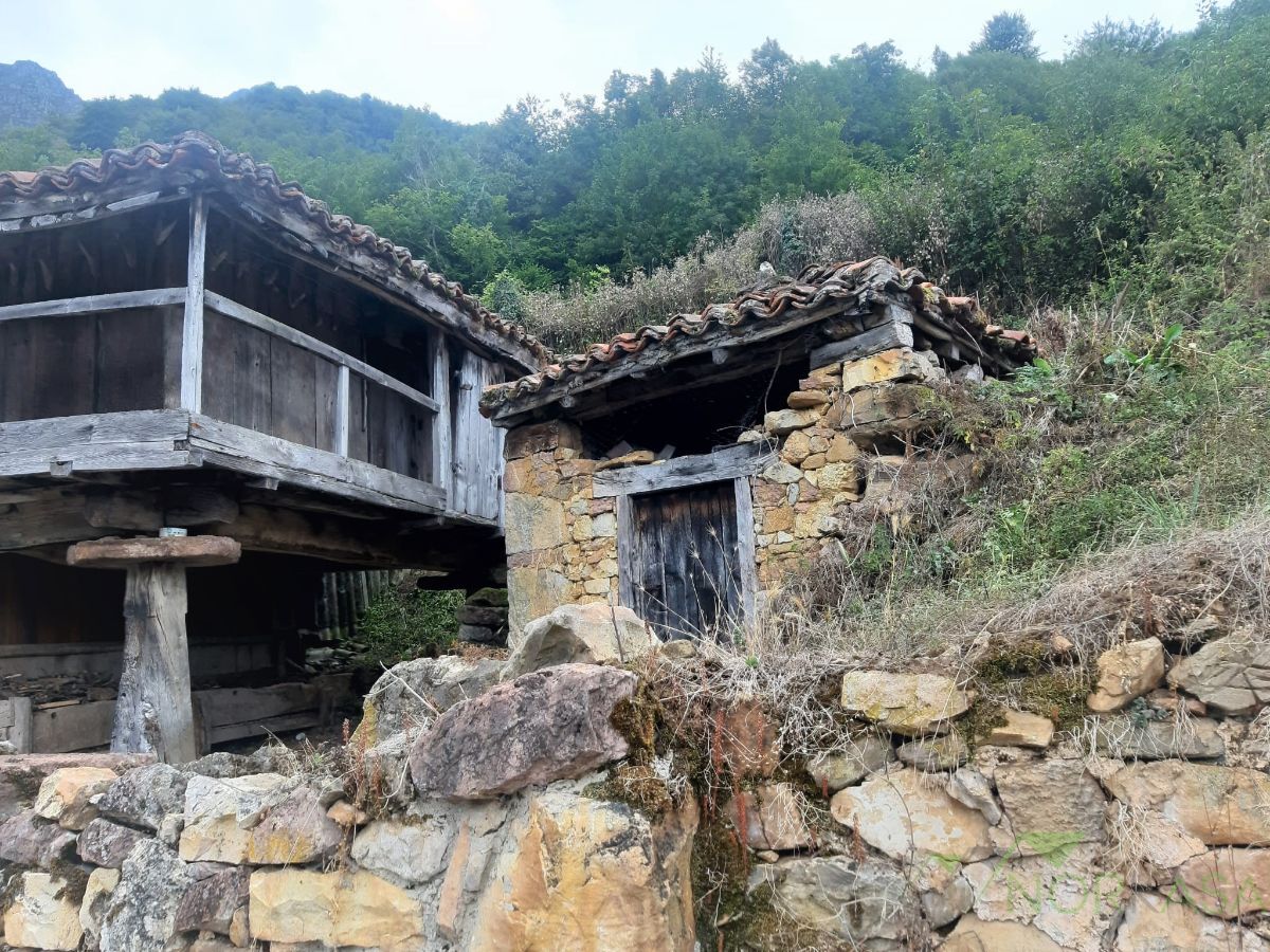 Venta de casa en Teverga