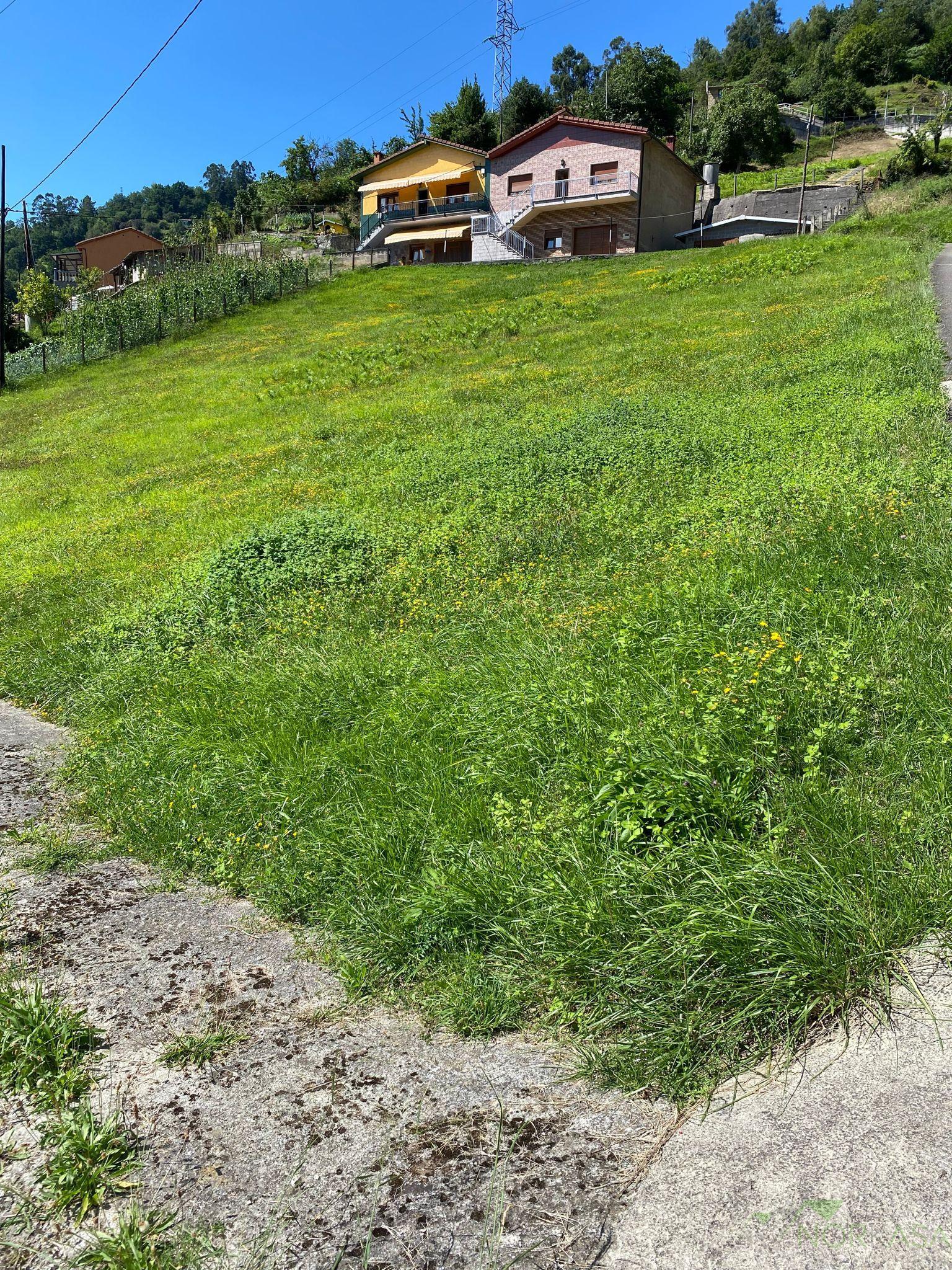 Venta de terreno en San Martín del Rey Aurelio