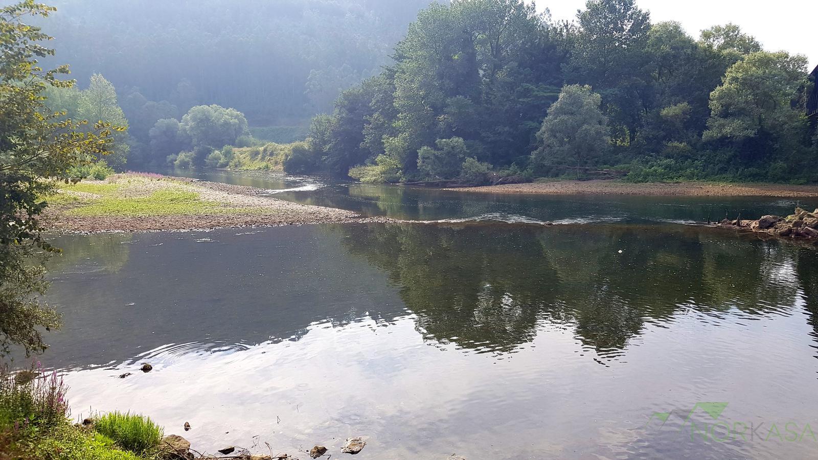 Venta de finca rústica en Pravia