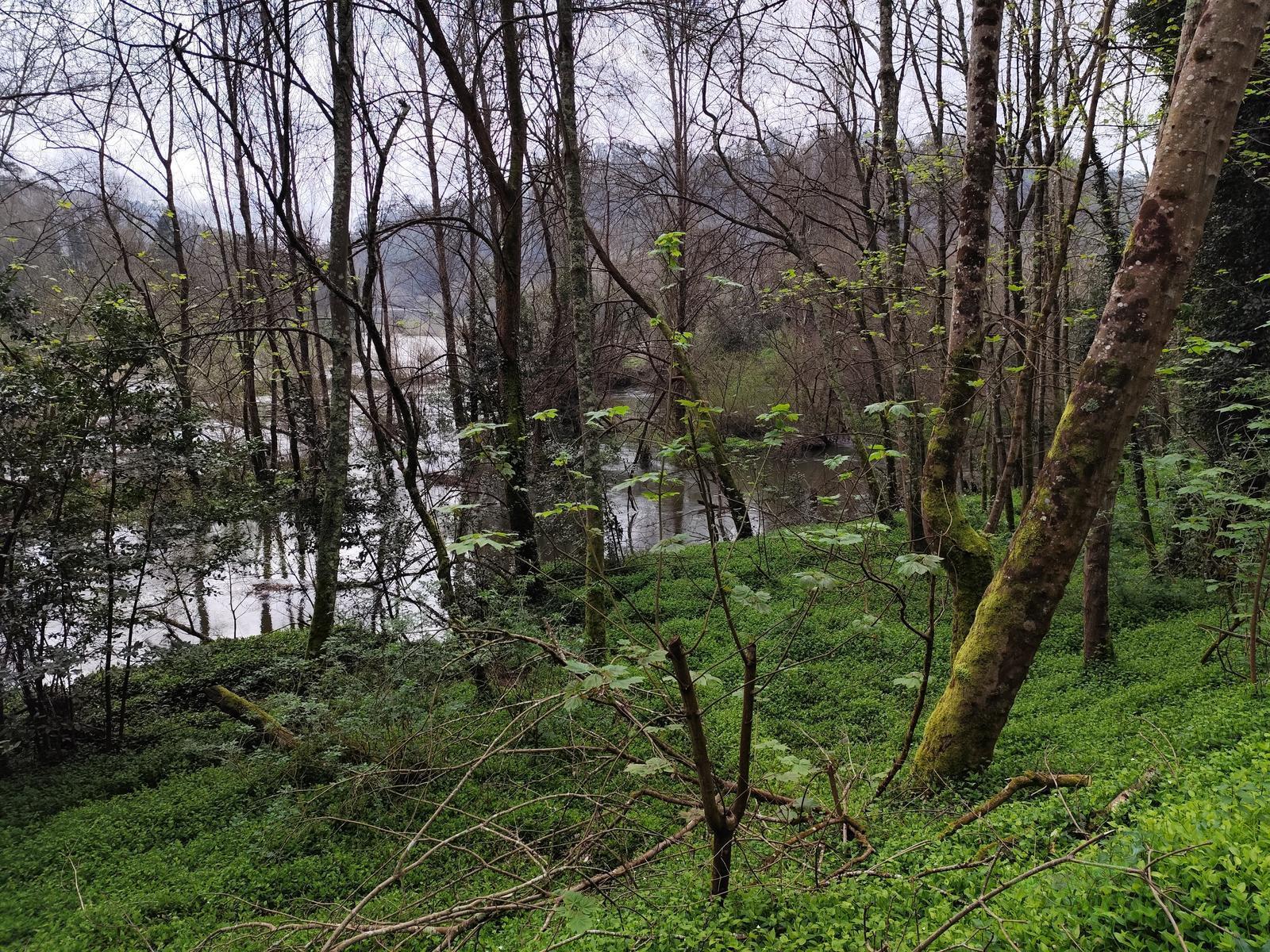 Venta de finca rústica en Pravia