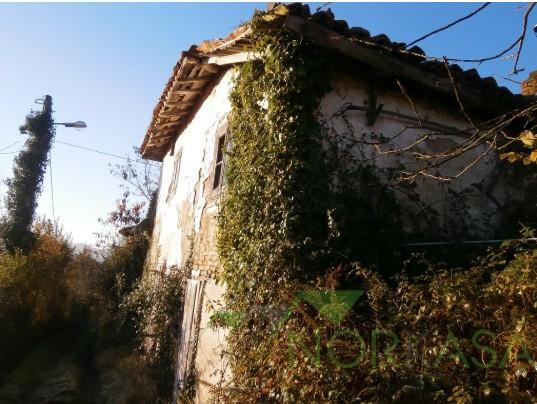 Venta de finca rústica en Pravia