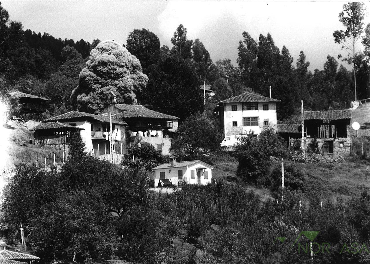 Venta de finca rústica en Pravia