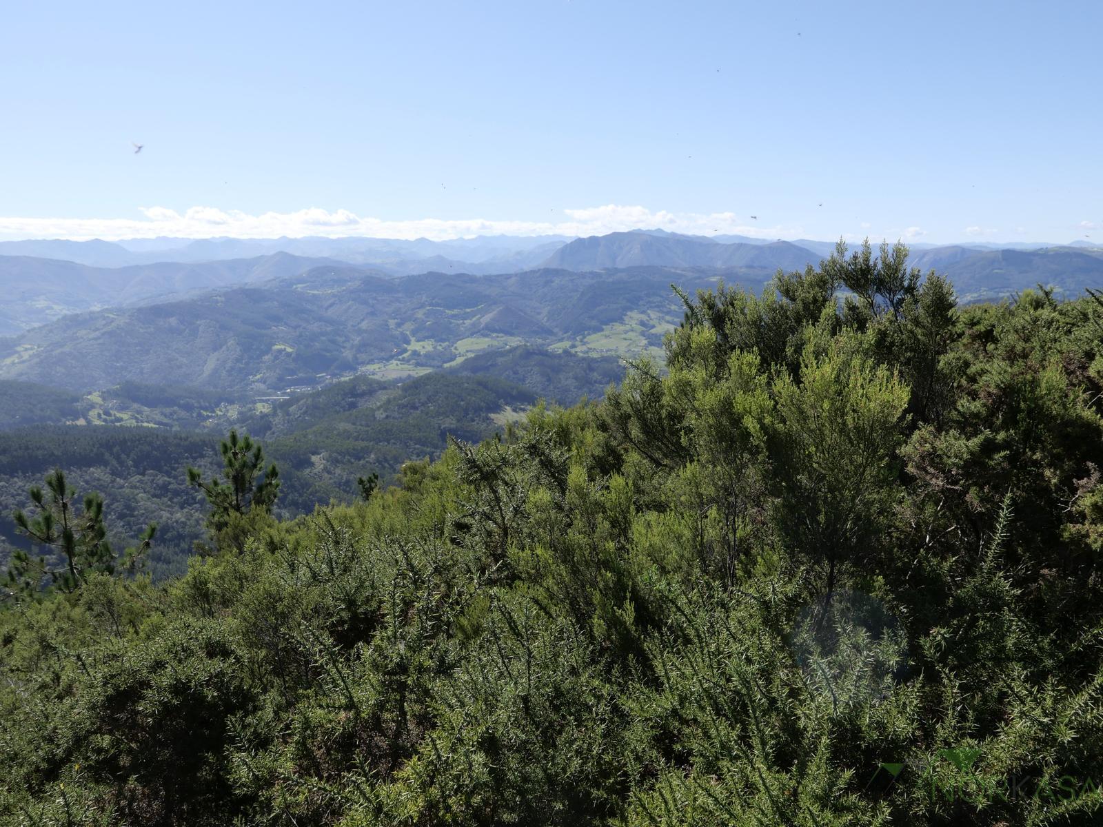 Venta de finca rústica en Pravia