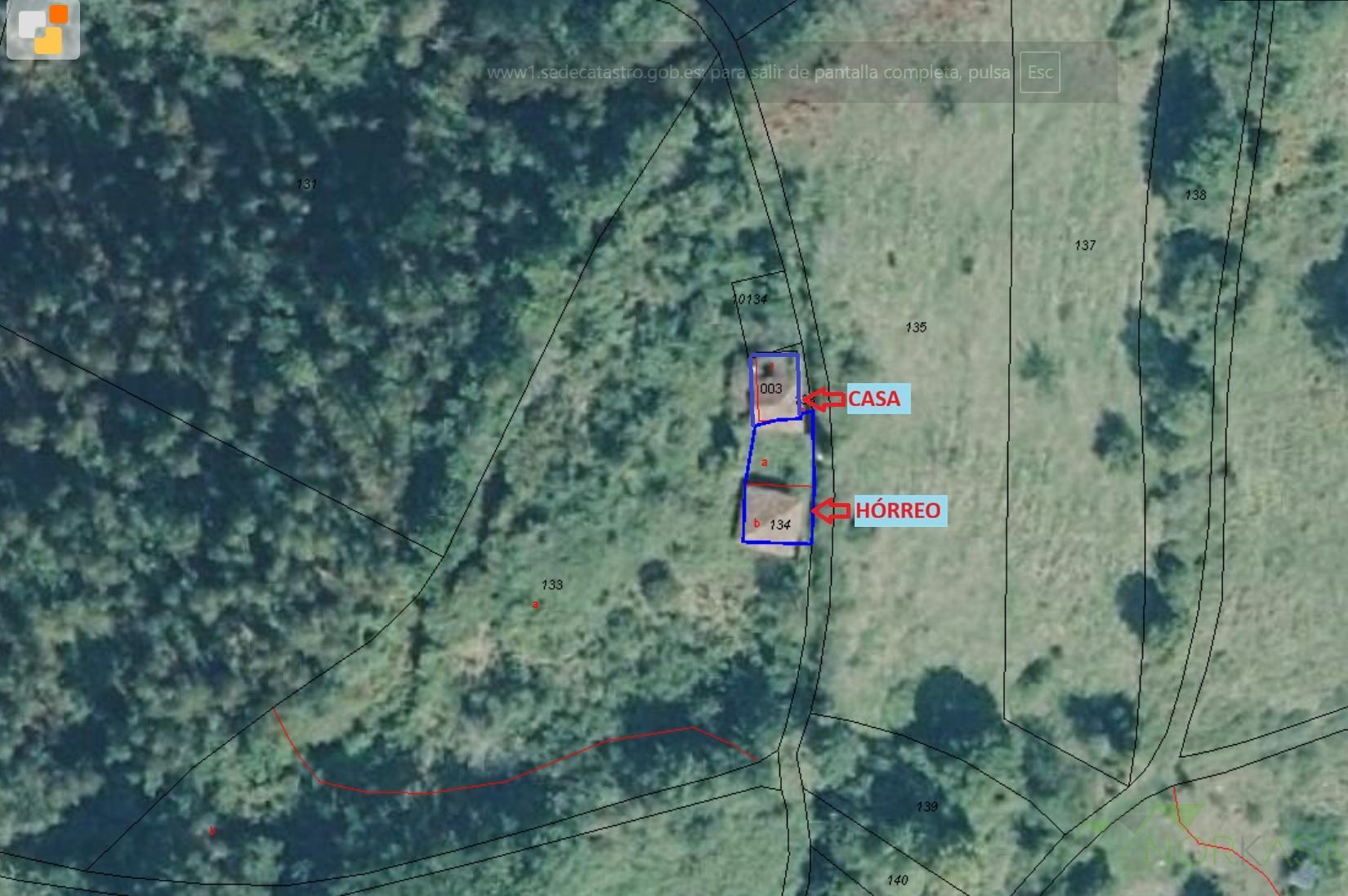 Venta de finca rústica en Pravia