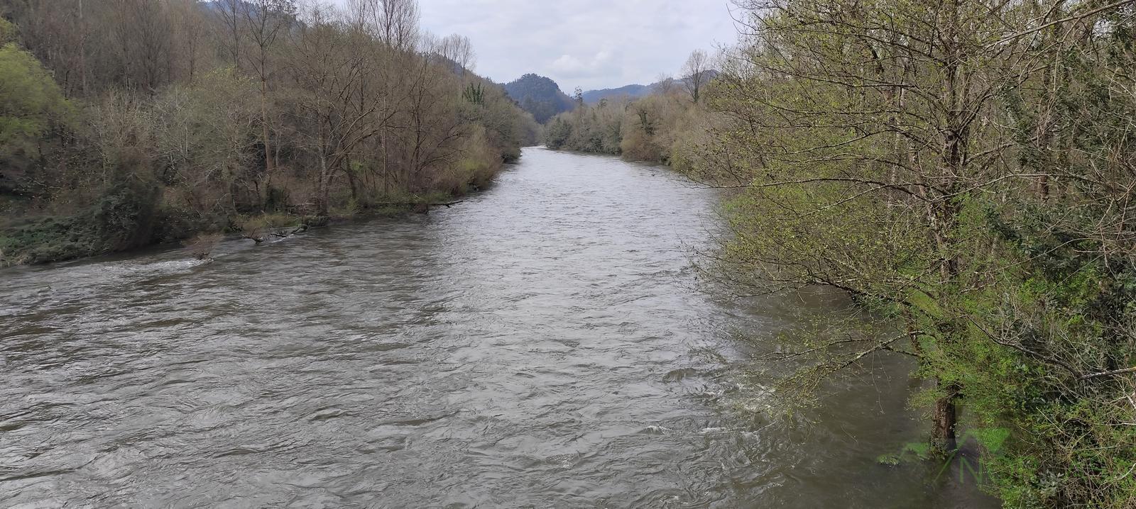 Venta de finca rústica en Pravia