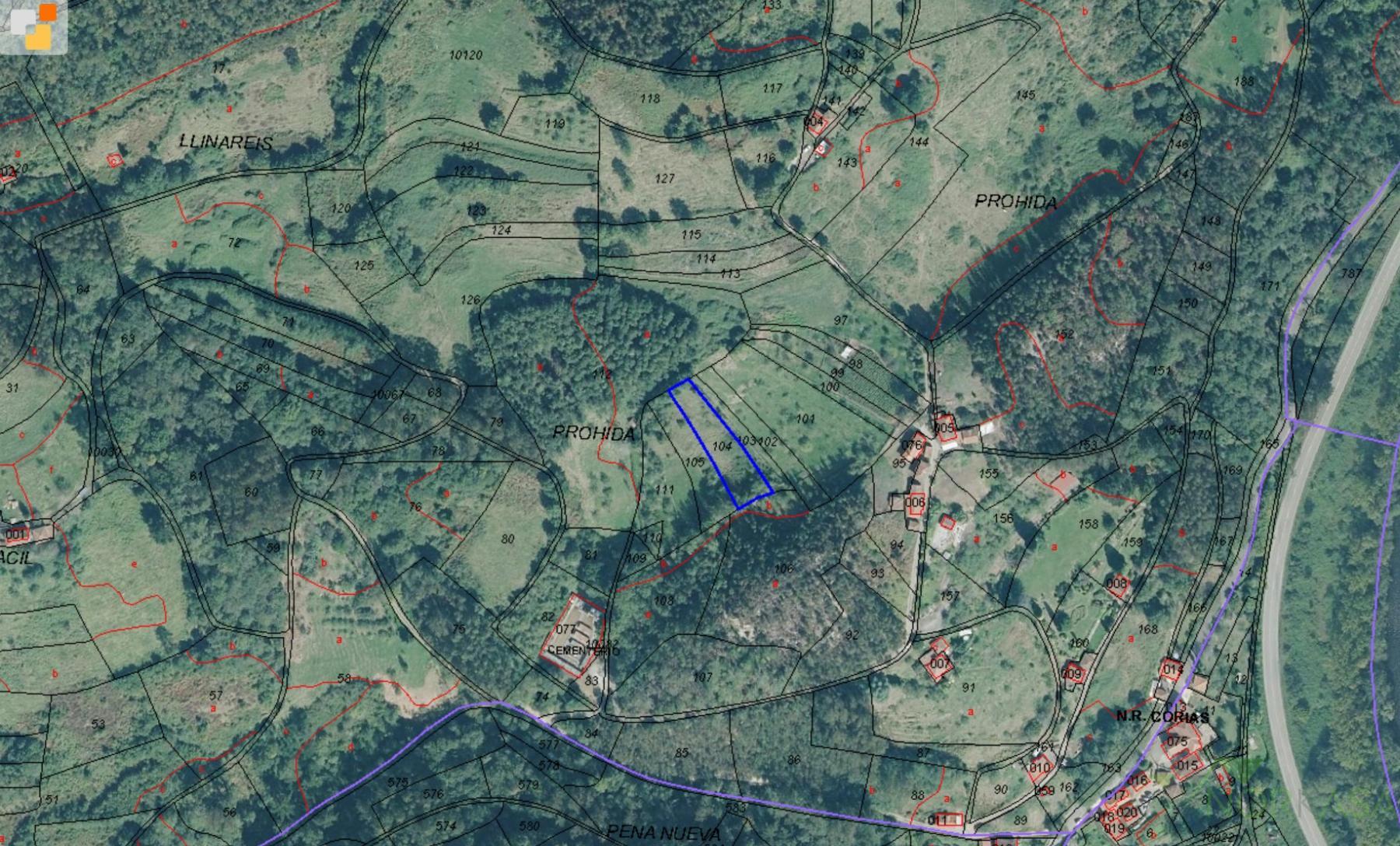 Venta de finca rústica en Pravia