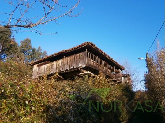 Venta de finca rústica en Pravia