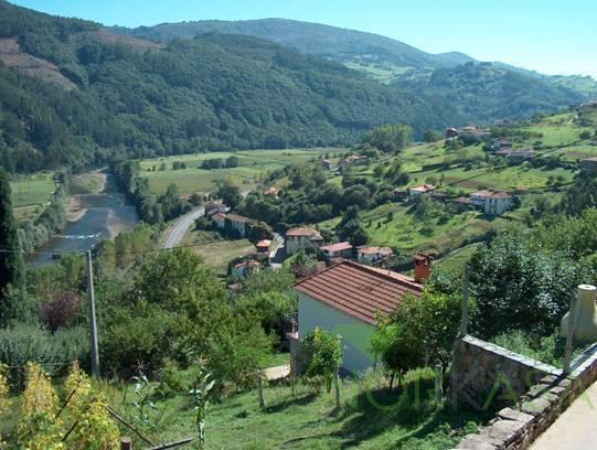Venta de finca rústica en Pravia