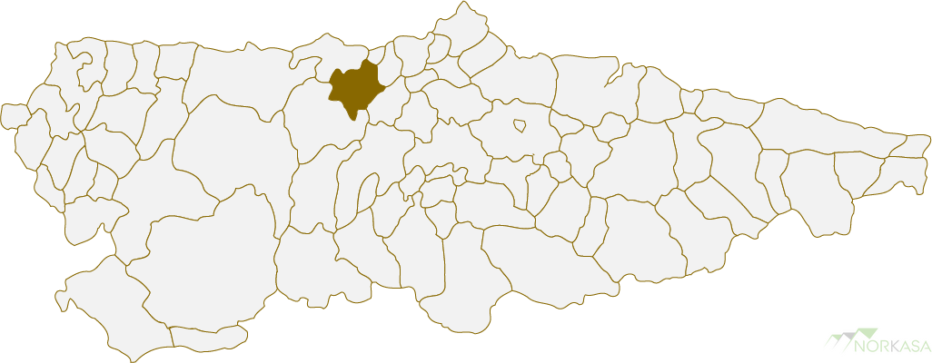 Venta de finca rústica en Pravia