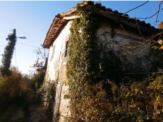 Venta de finca rústica en Pravia