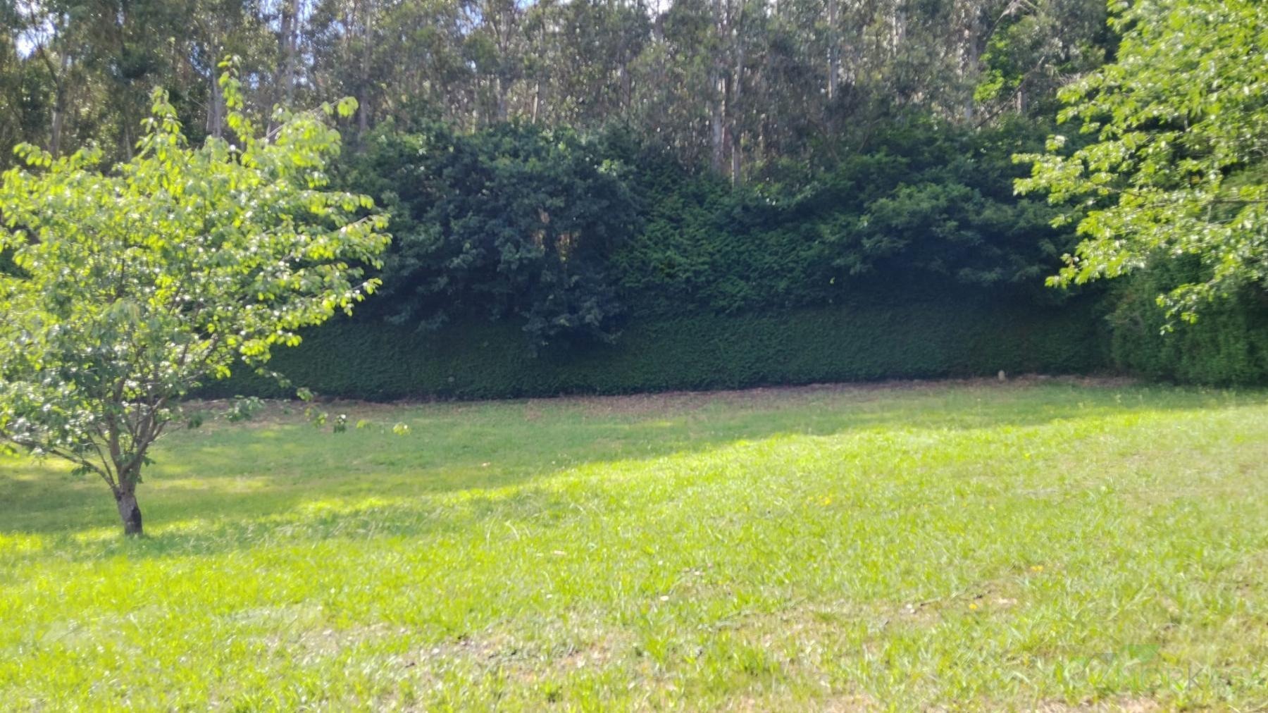 Venta de chalet en Pravia