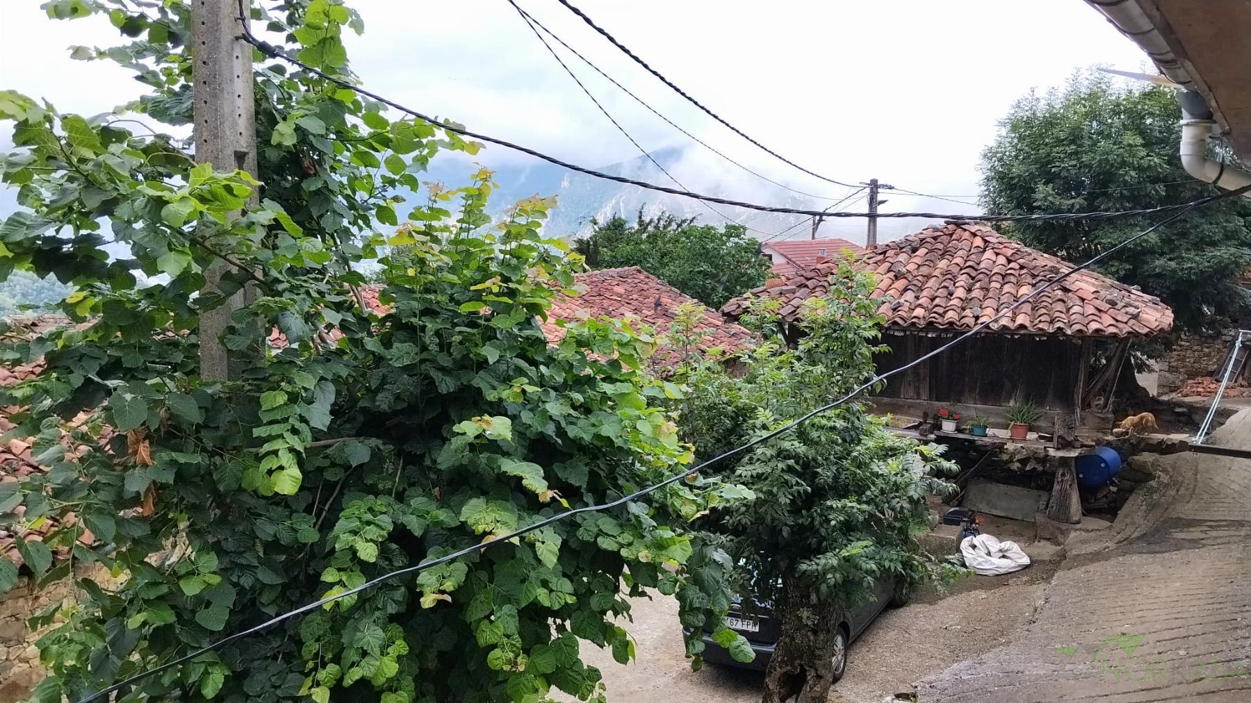 Venta de casa en Quirós
