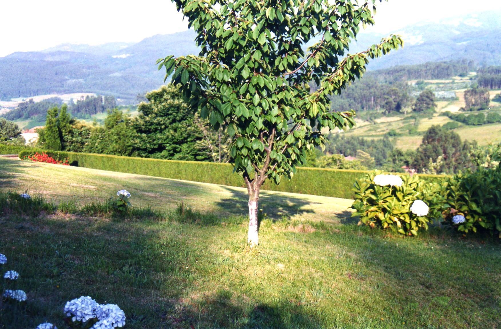 Venta de chalet en Pravia