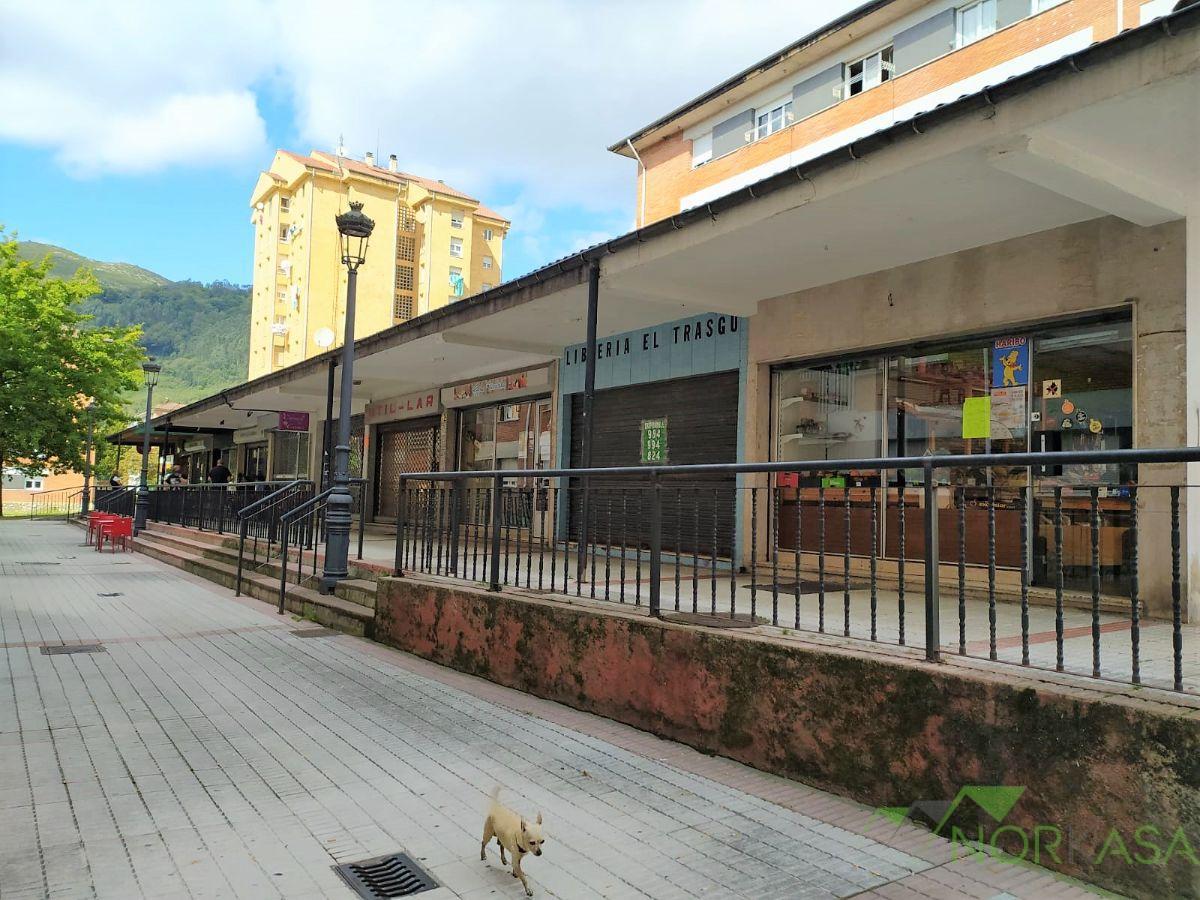 Venta de local comercial en Langreo