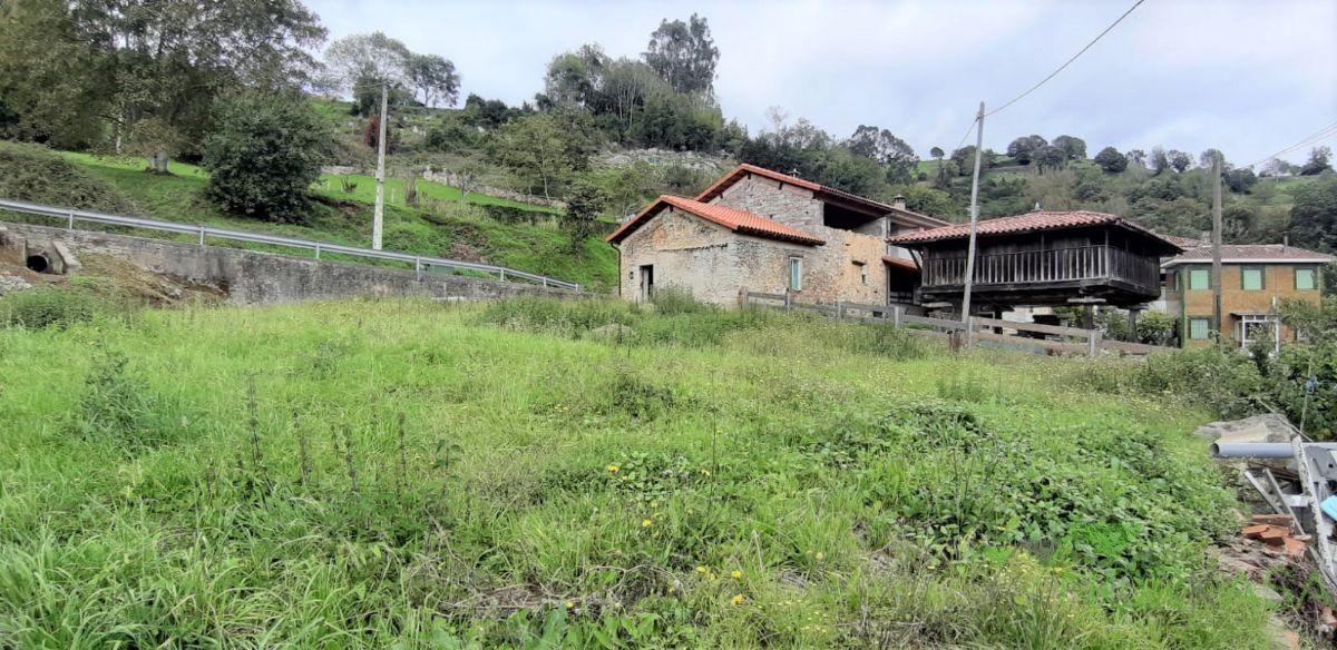 For sale of house in Candamo