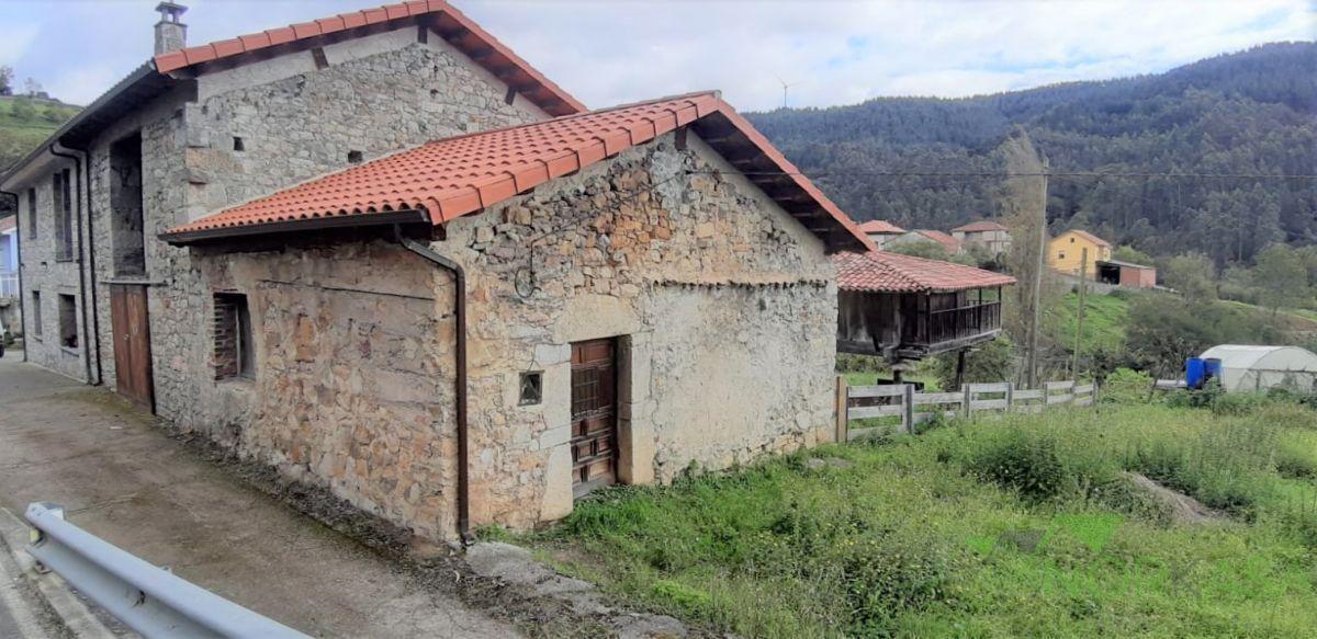 For sale of house in Candamo