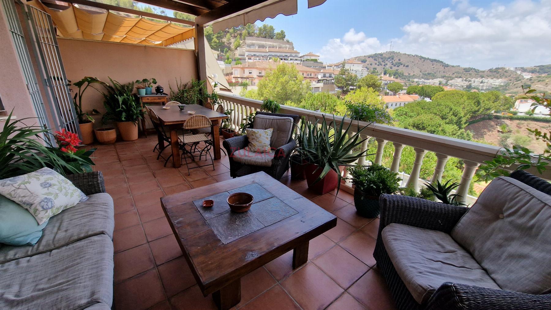 Terraza